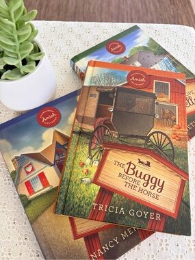 3 Sugarcreek Amish Mystery Books Fiction Hardcover Women’s books